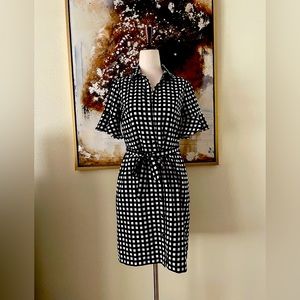 Banana Republic button down with tie closure ruffle sleeve dress SZ 00 P BNWOT